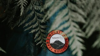 Thumbnail of post image 012